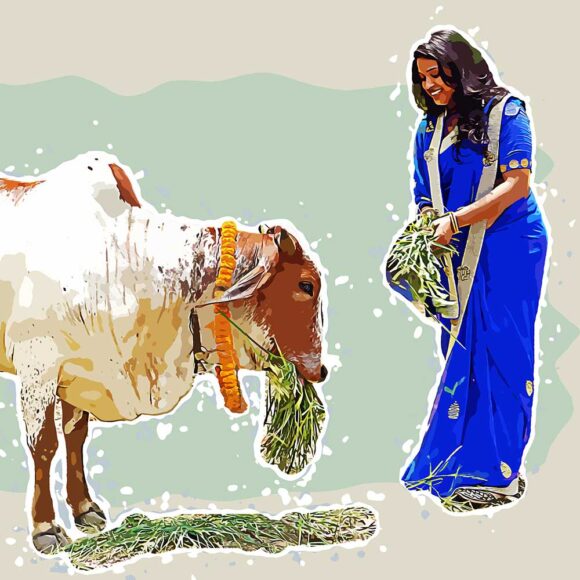 woman feeding grass to cow